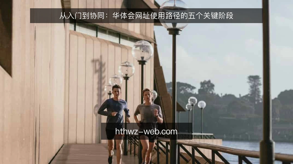 从入门到协同：华体会网址使用路径的五个关键阶段