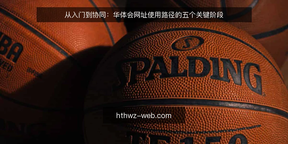 从入门到协同：华体会网址使用路径的五个关键阶段 — 初识华体会网址：从一次实际需求开始 配图